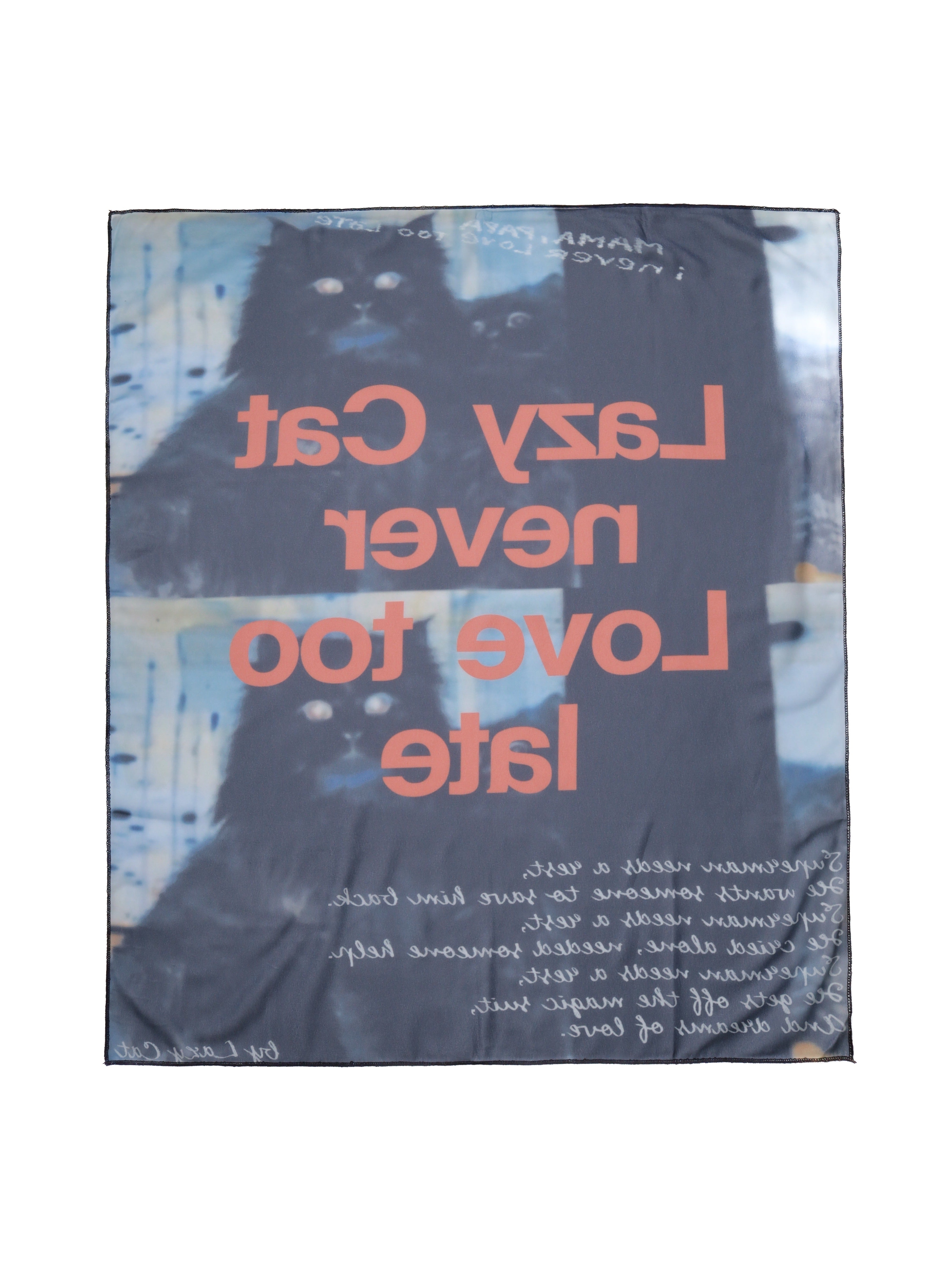 "Superman" Fabric Poster