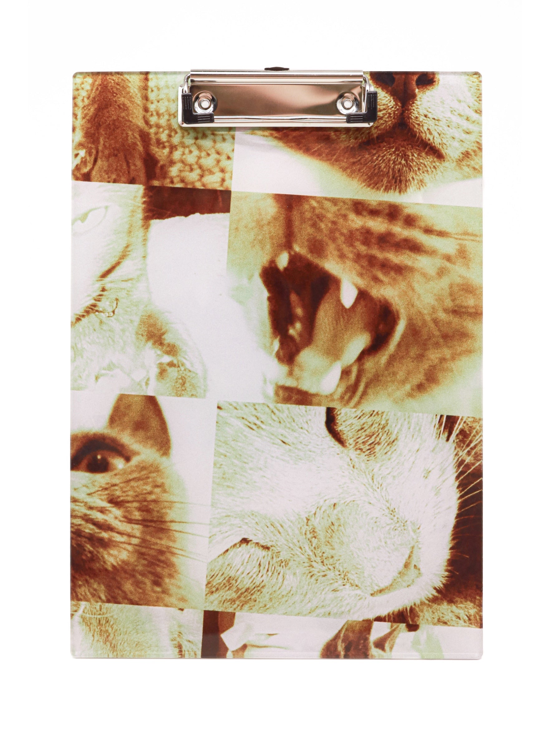 Lazy Cat Clipboard (SYNC VER.)