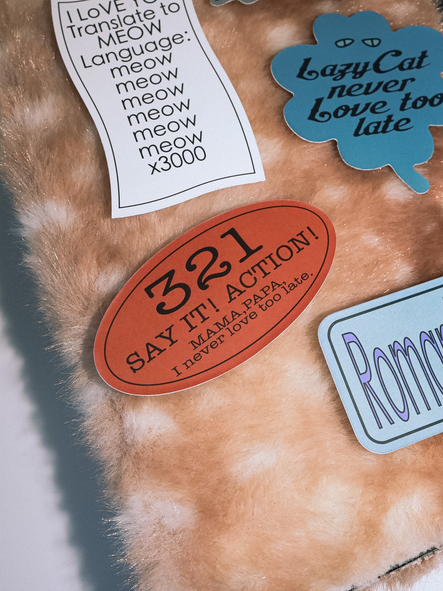Lazy Cat Sticker Pack A