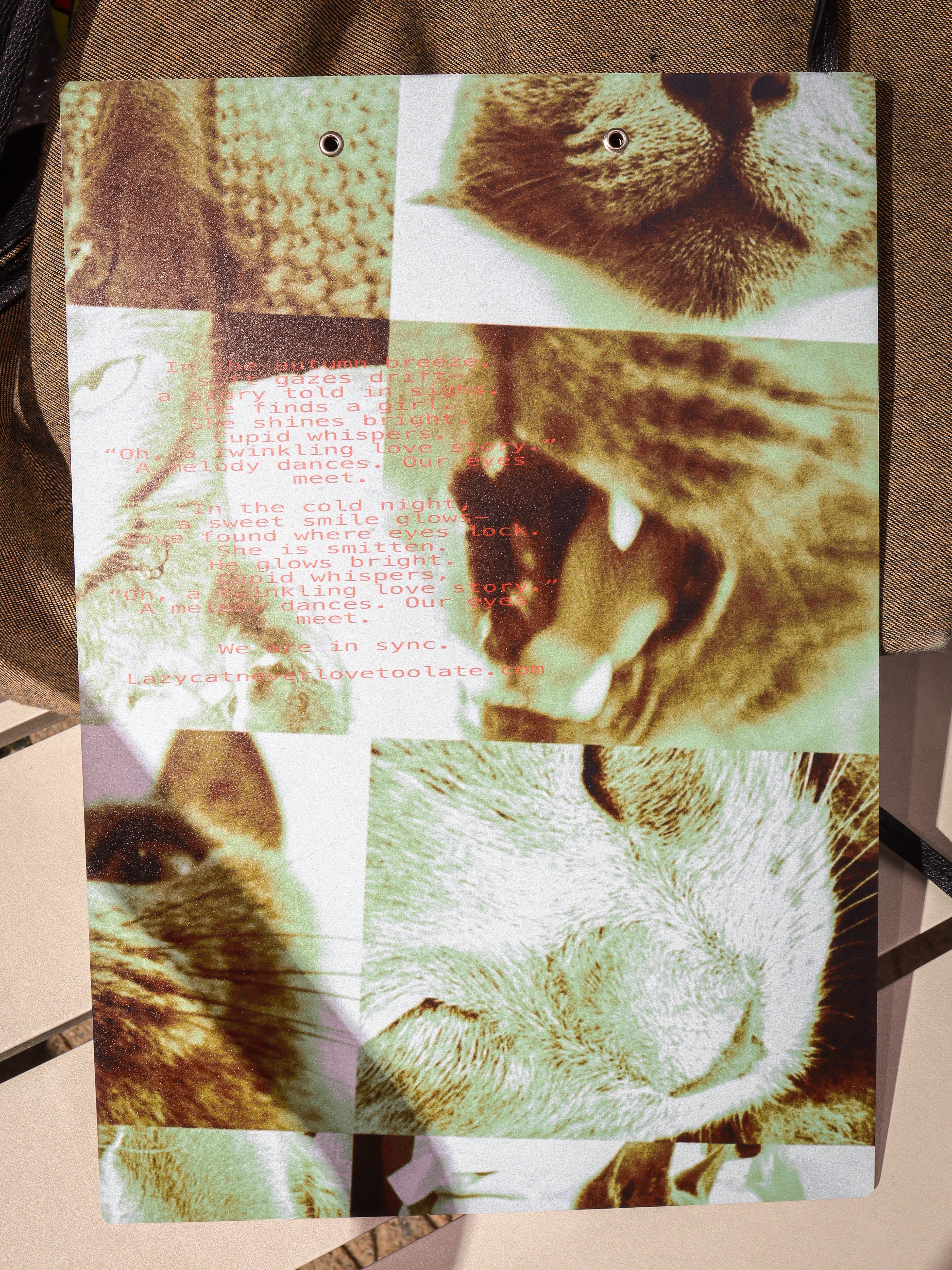 Lazy Cat Clipboard (SYNC VER.)
