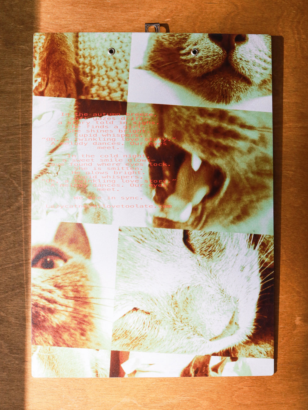 Lazy Cat Clipboard (SYNC VER.)
