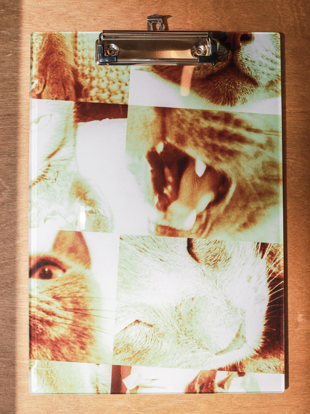 Lazy Cat Clipboard (SYNC VER.)