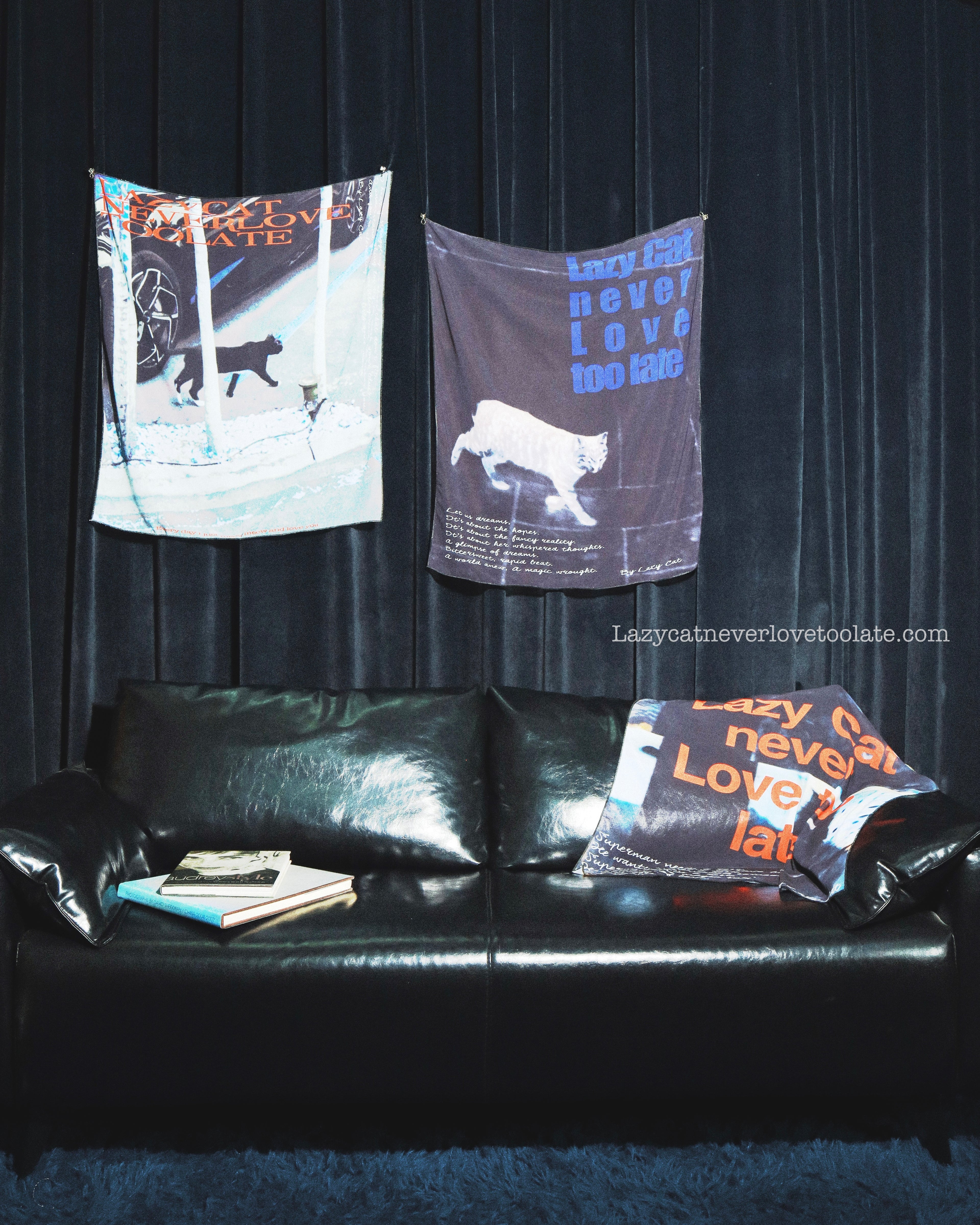 "Superman" Fabric Poster