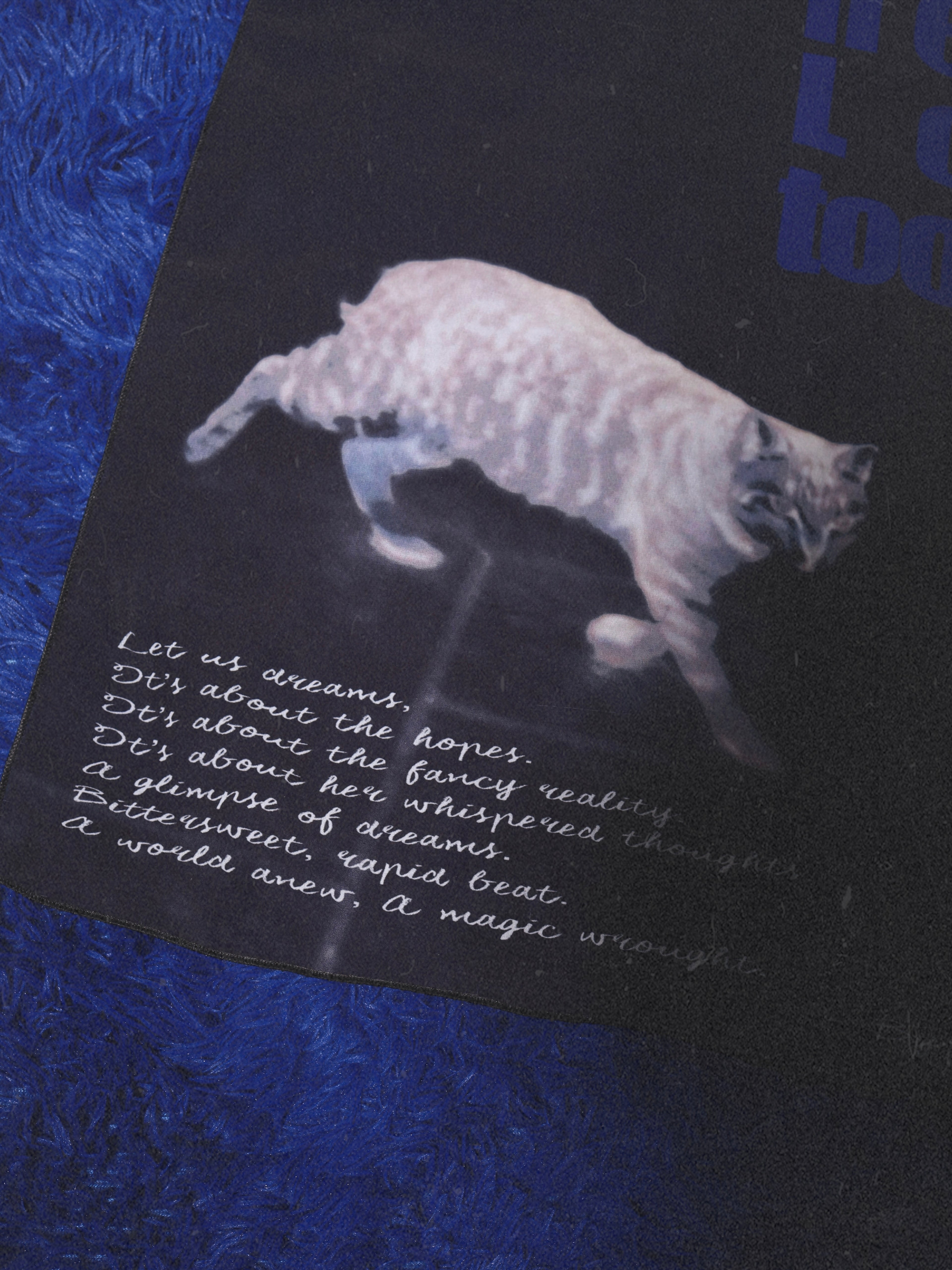 'Dreams' Fabric Poster